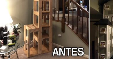 antes-despues-casa-gato