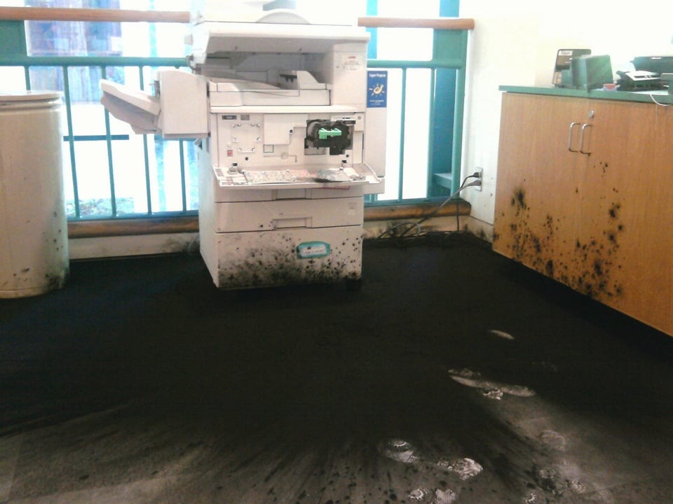 impresora rota tinta