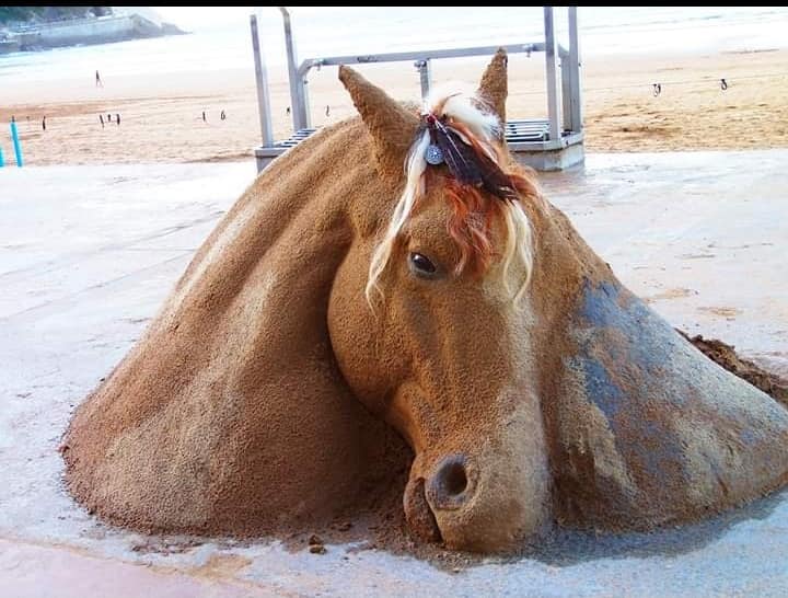 caballo-arena