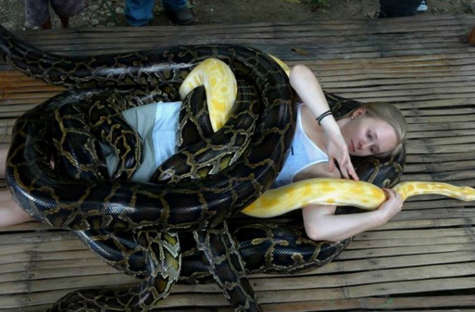 masaje con serpientes