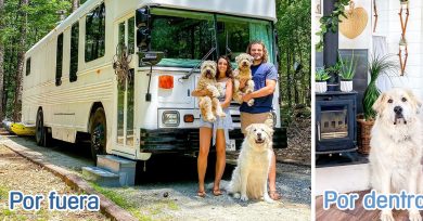 casa-autobus-escolar