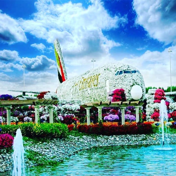 avión de flores fuente