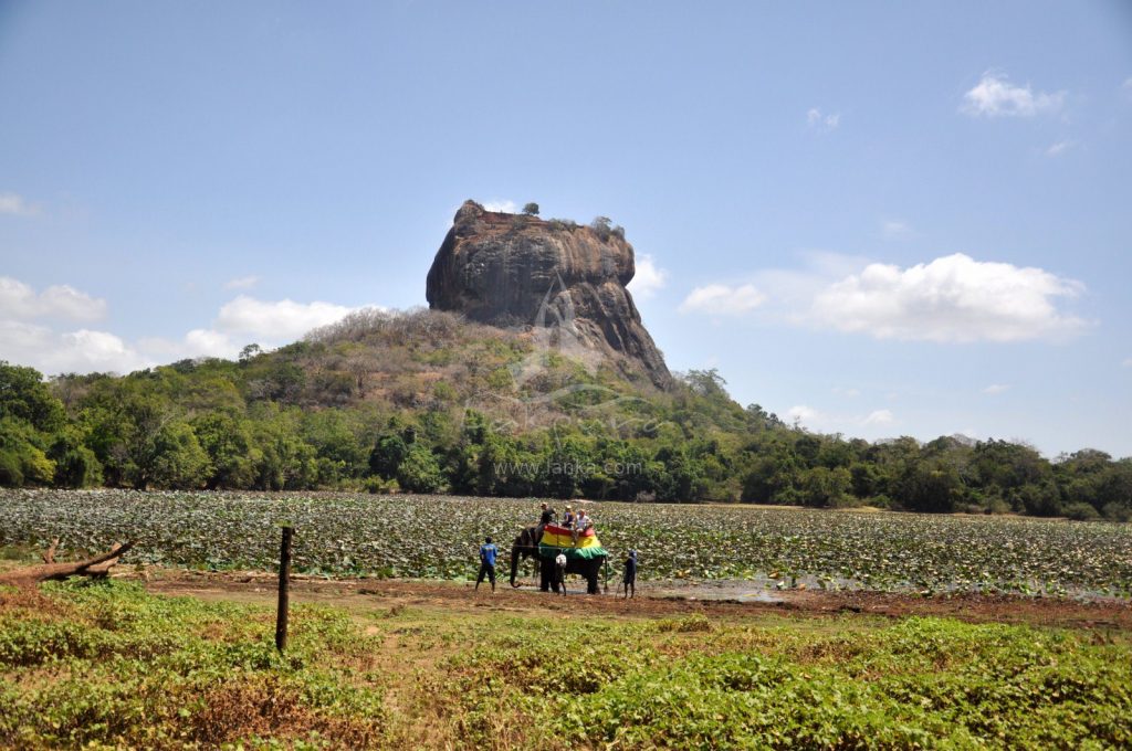 Elefante roca elevada