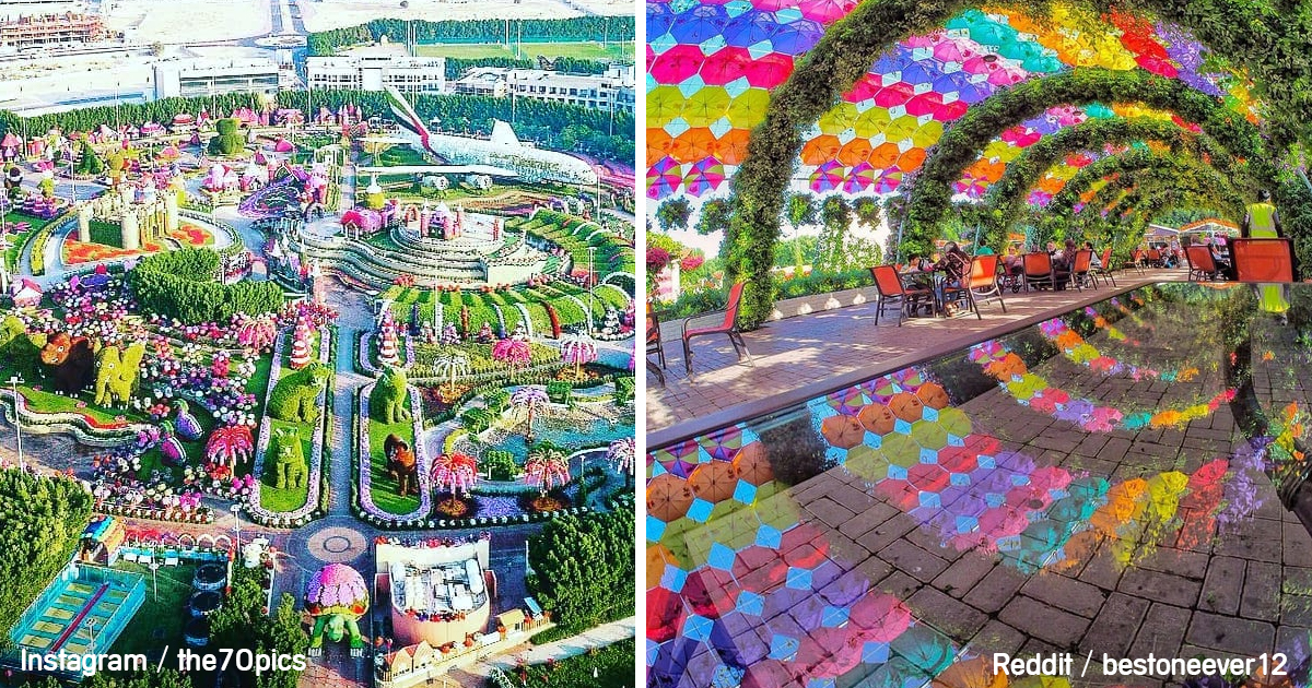 jardin-flores-mas-grande