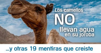 mentiras-creiste
