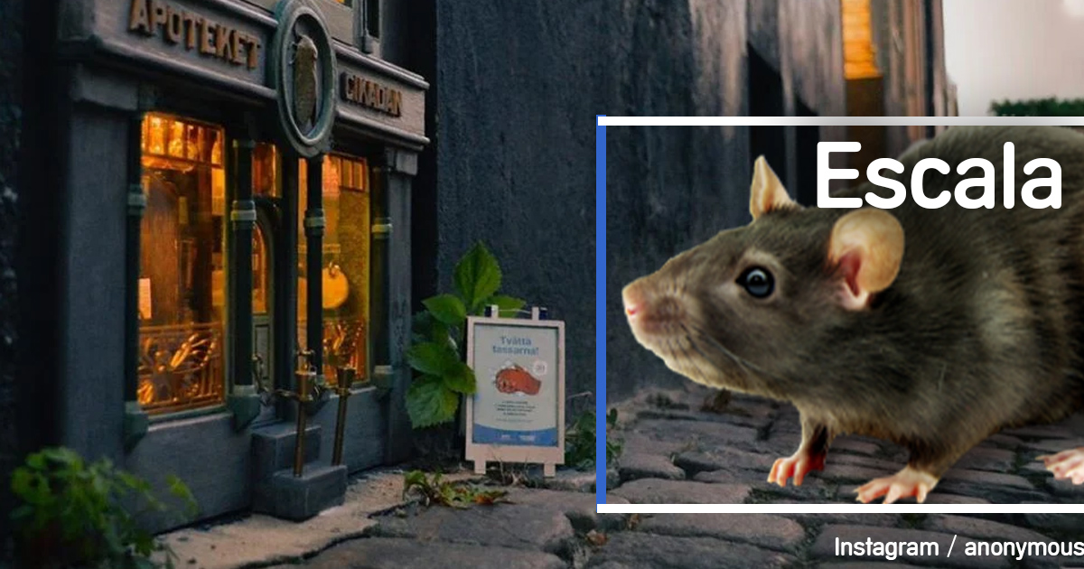 tienda-ratones