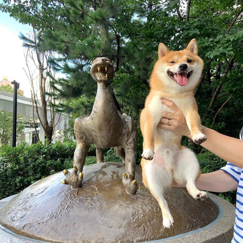 Perro estatua Shiba Inu sonreír