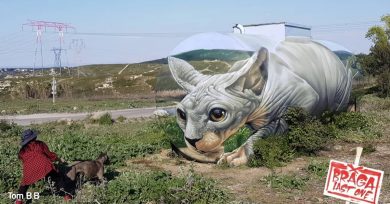 Tom B B grafiti gato