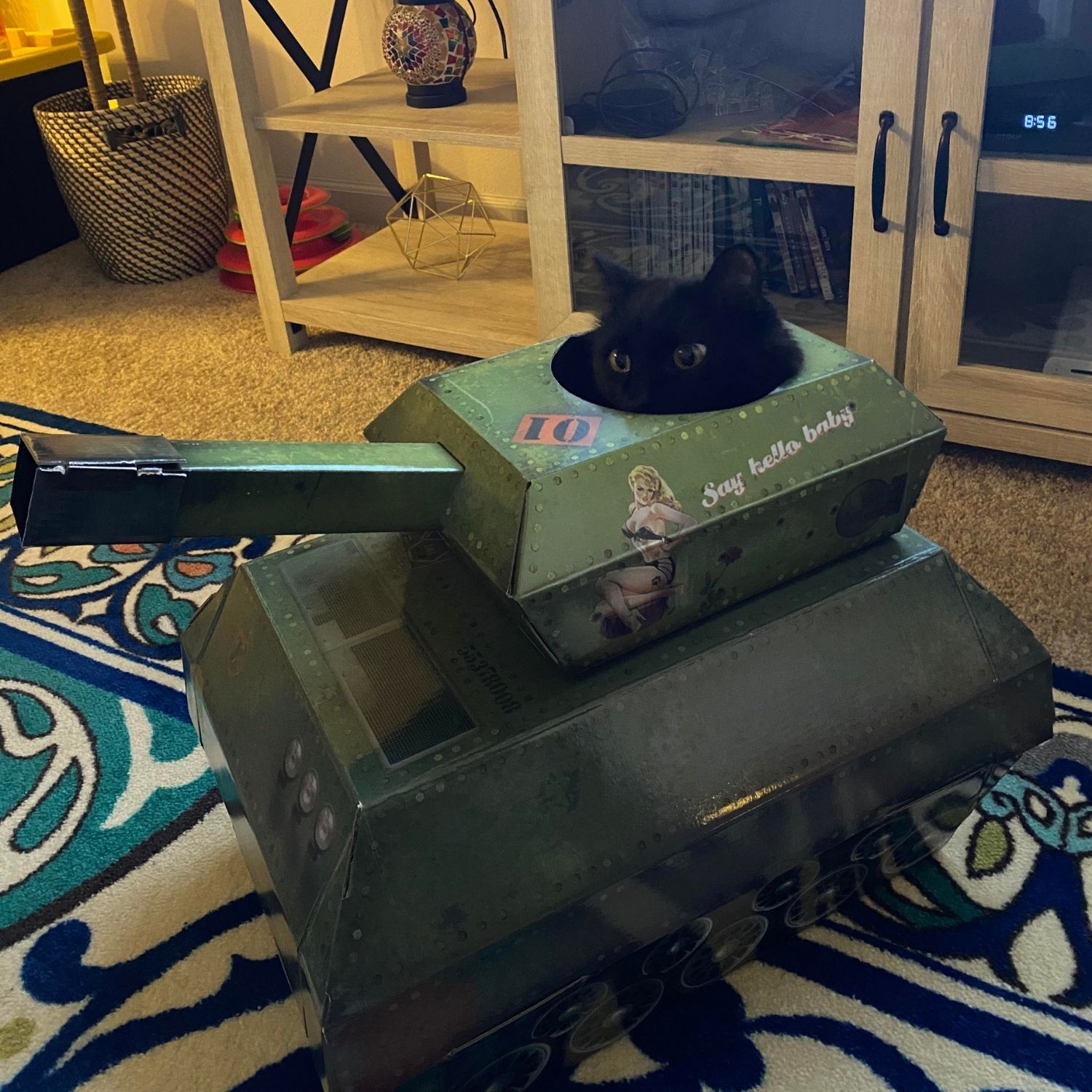 gato tanque