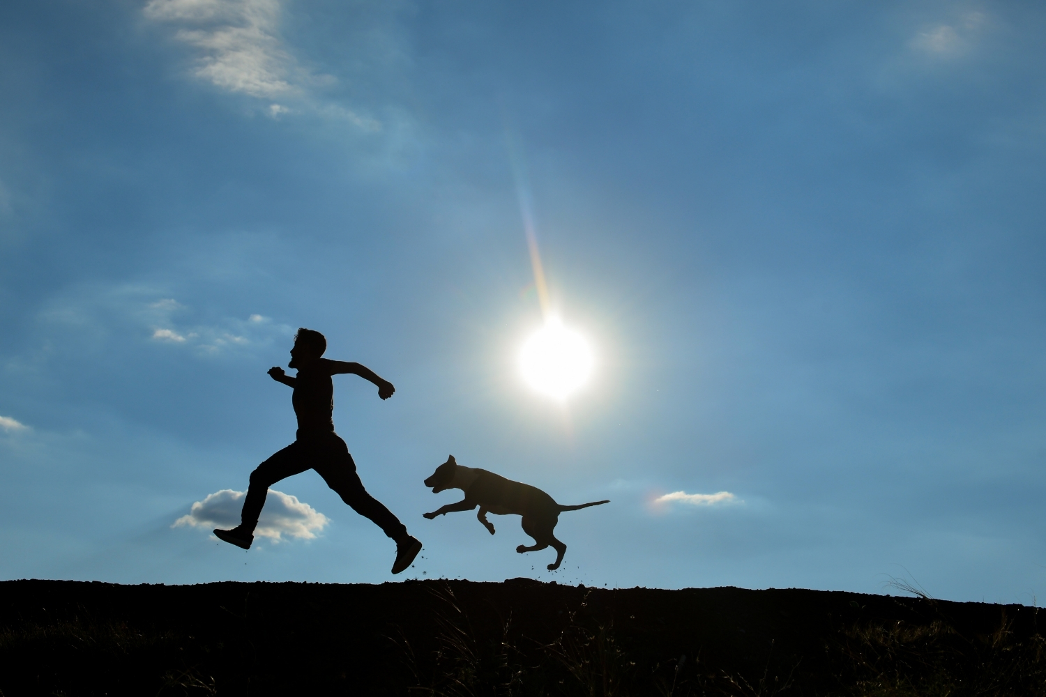 hombre y perro corriendo