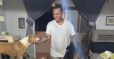 hombre-animales-casa