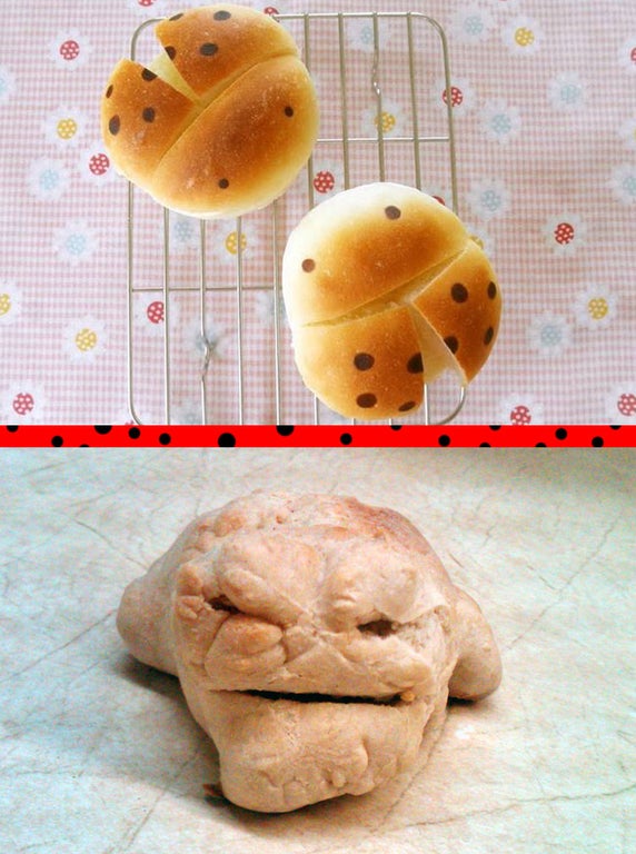 mariquita abominable