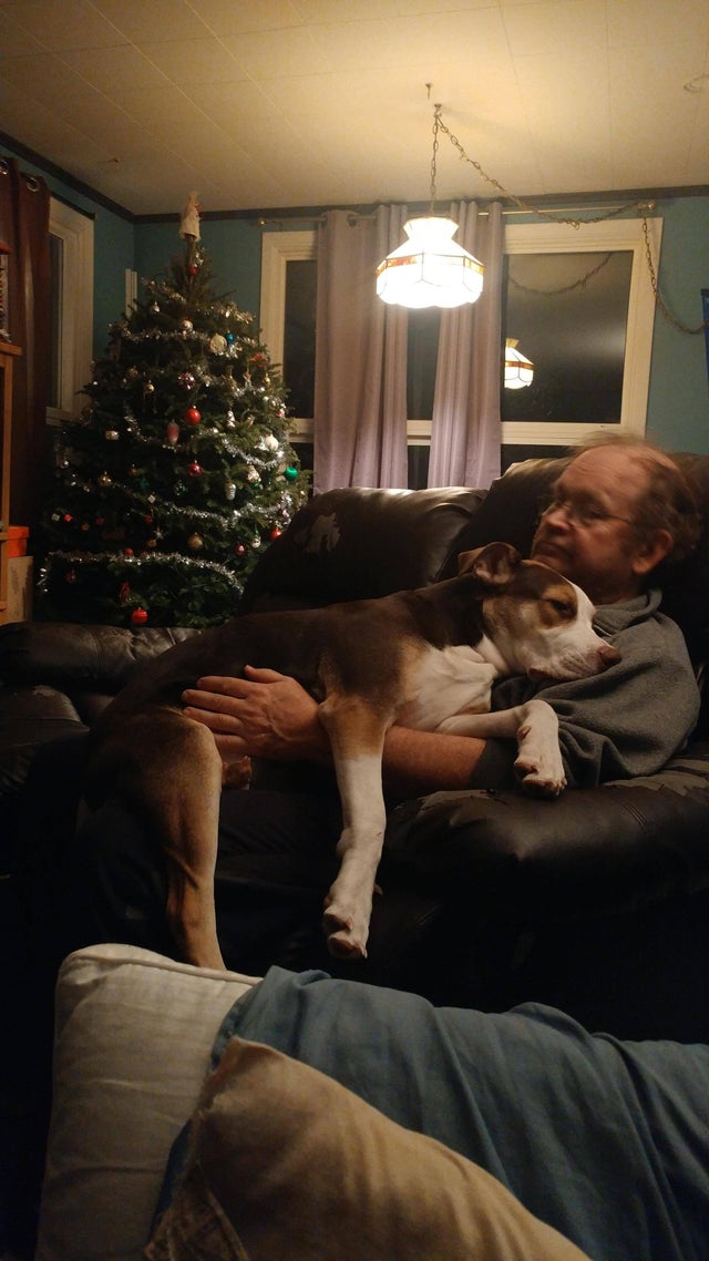 hombre tumbado en el sofá con el perro