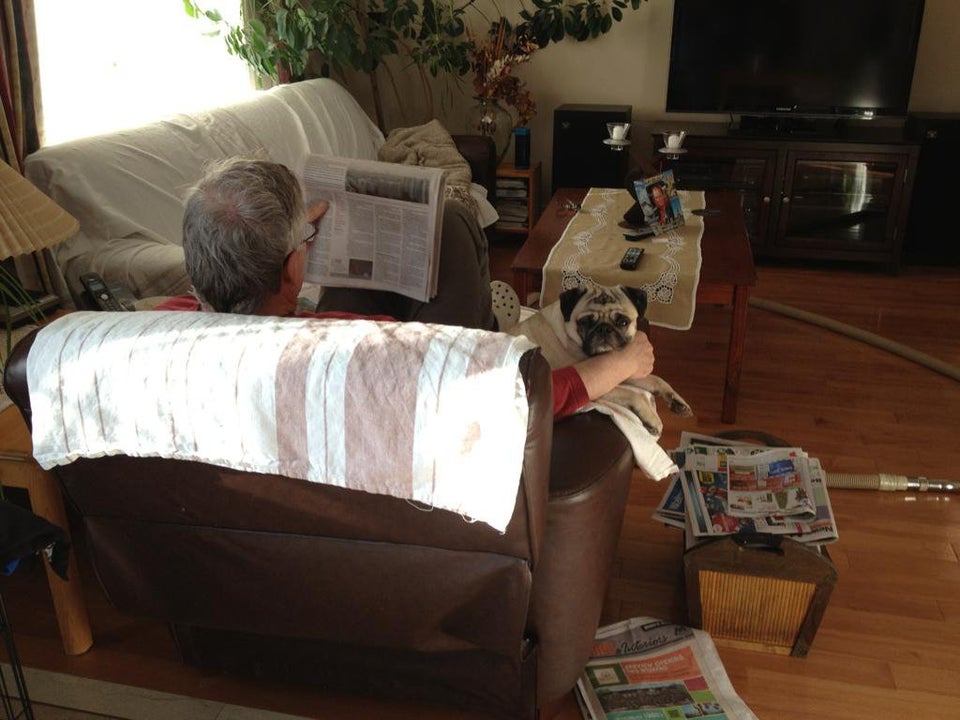 leyendo el periódico 