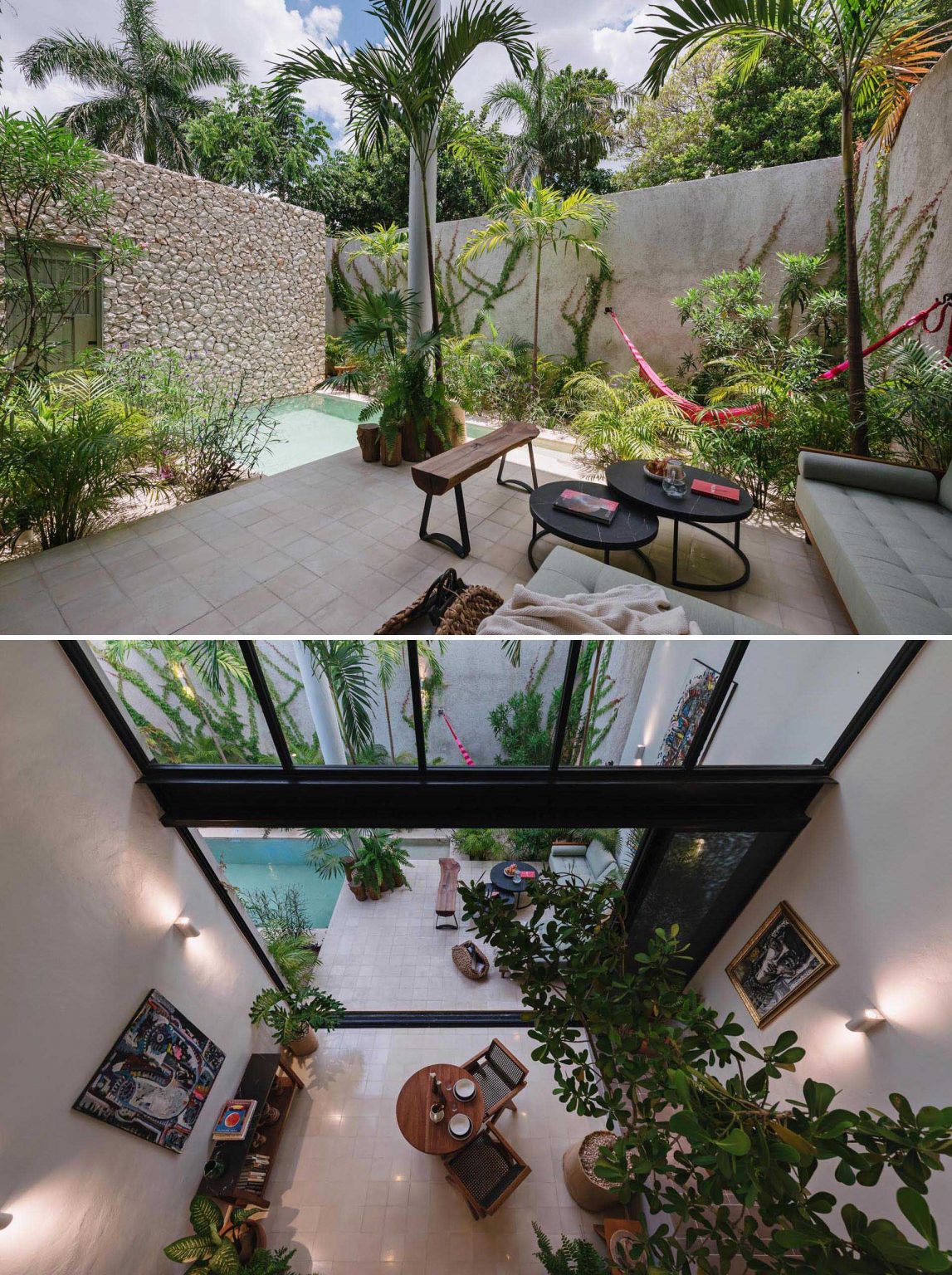 casa moderna con plantas