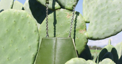 cuero-cactus