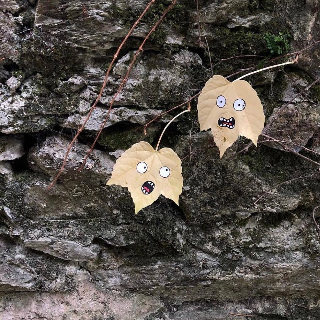 hojas asustadas