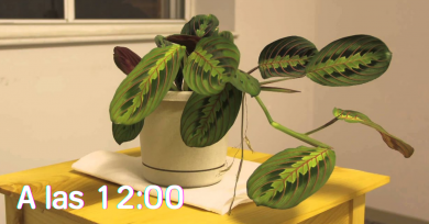 plantas-movimiento