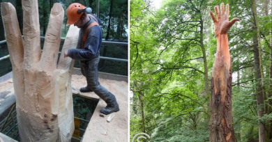 brazo-madera-escultor-arbol