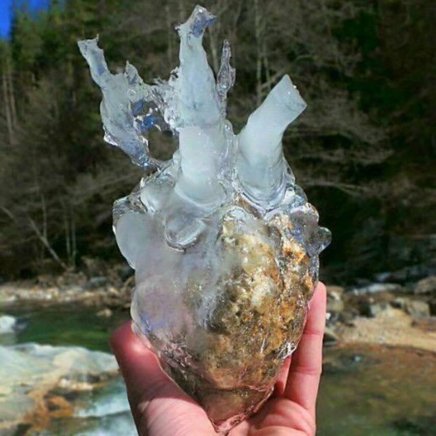 corazon hielo