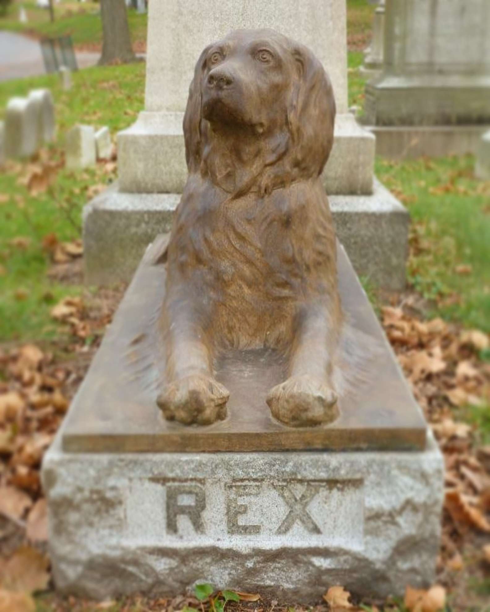 escultura perro rex