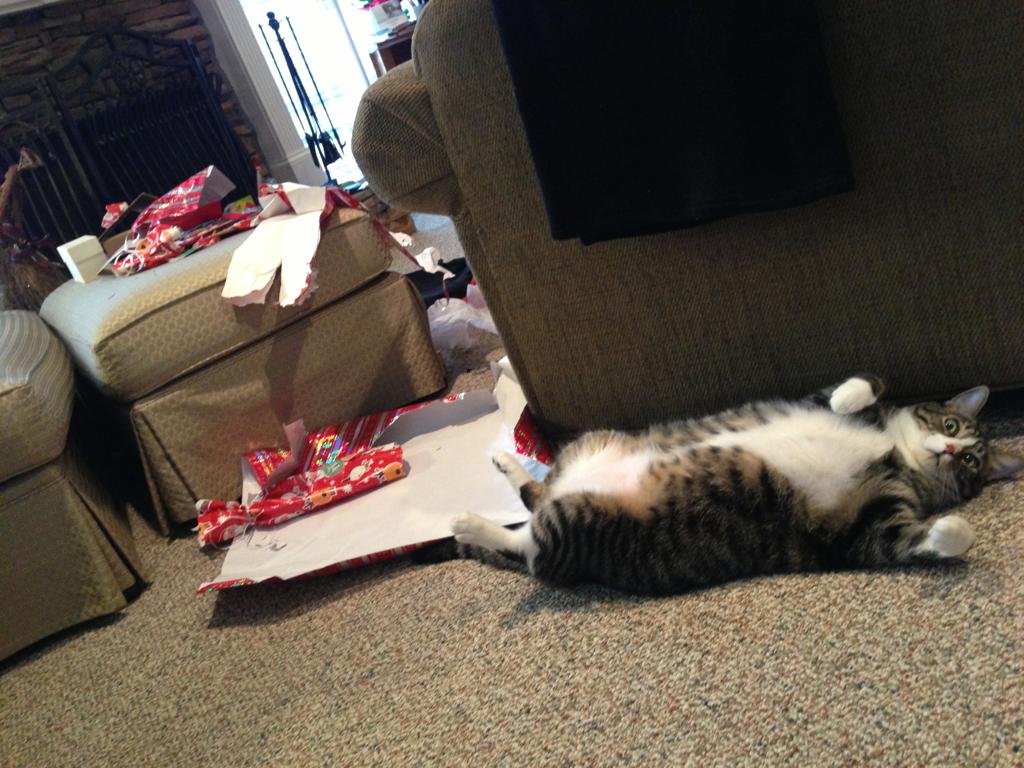 gato destroza la navidad
