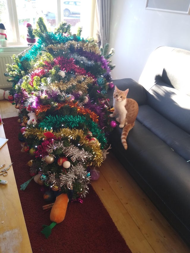 gatito tira árbol