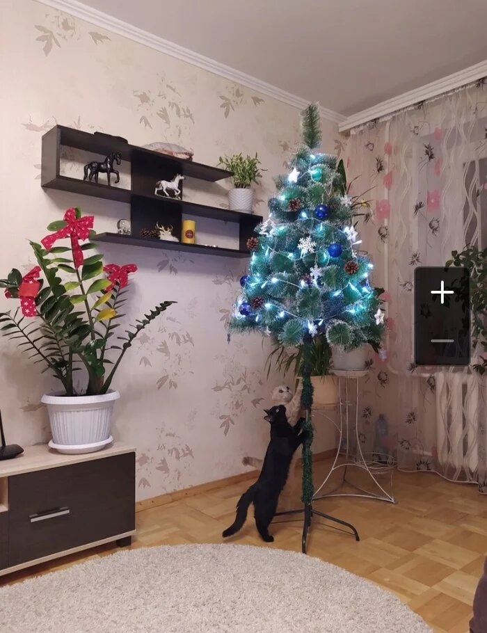 gato arañando el árbol de navidad