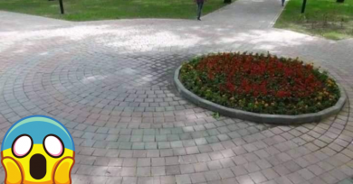 fotos alteran pefeccionista