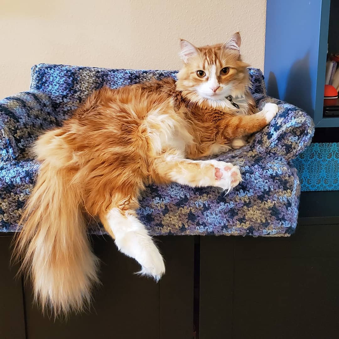 sofa de ganchillo para gato