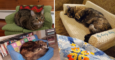 sofa-ganchillo-gatos