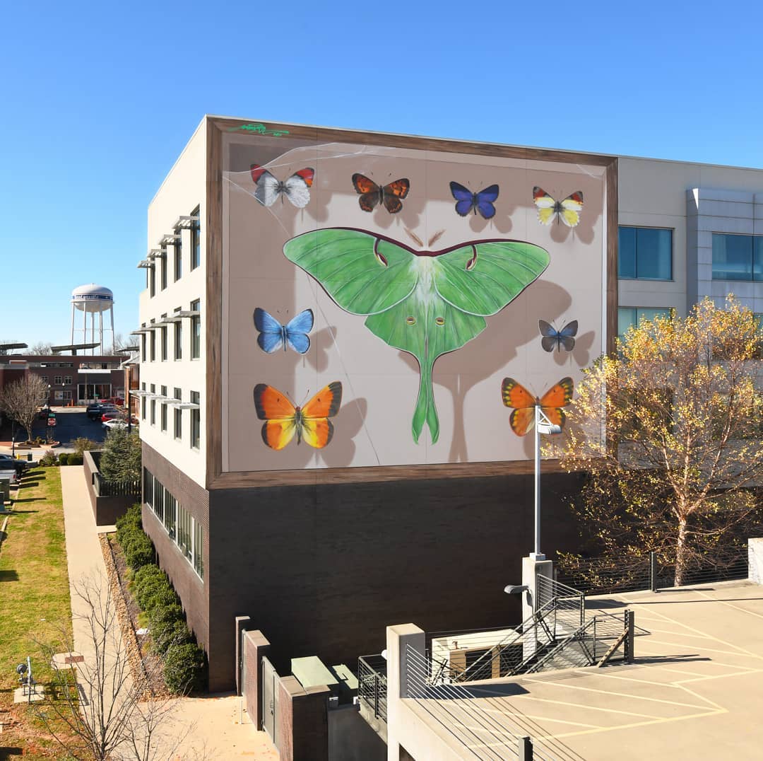 mural con mariposas pintadas