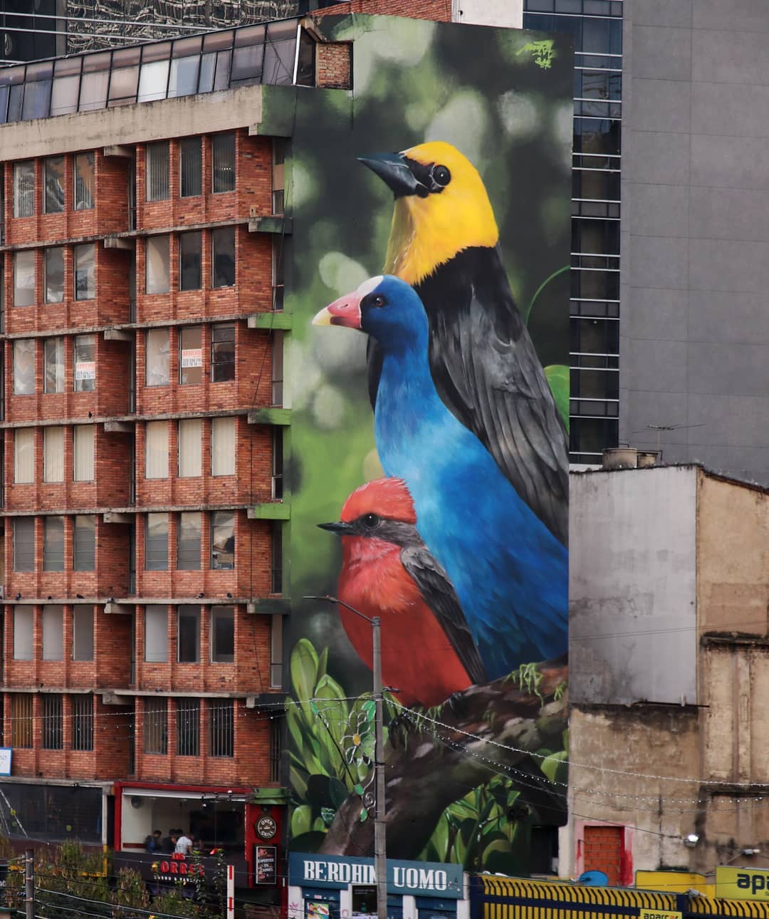 graffiti de pájaros