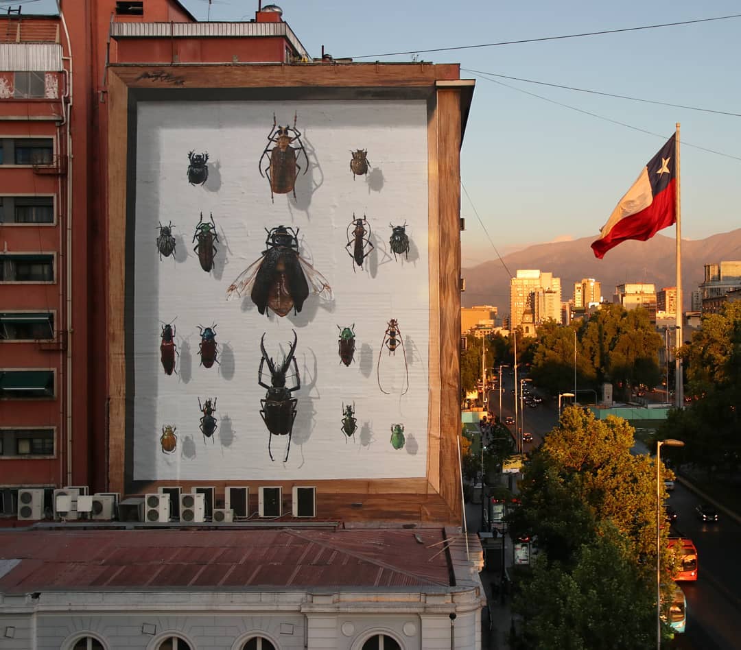 mural de insectos