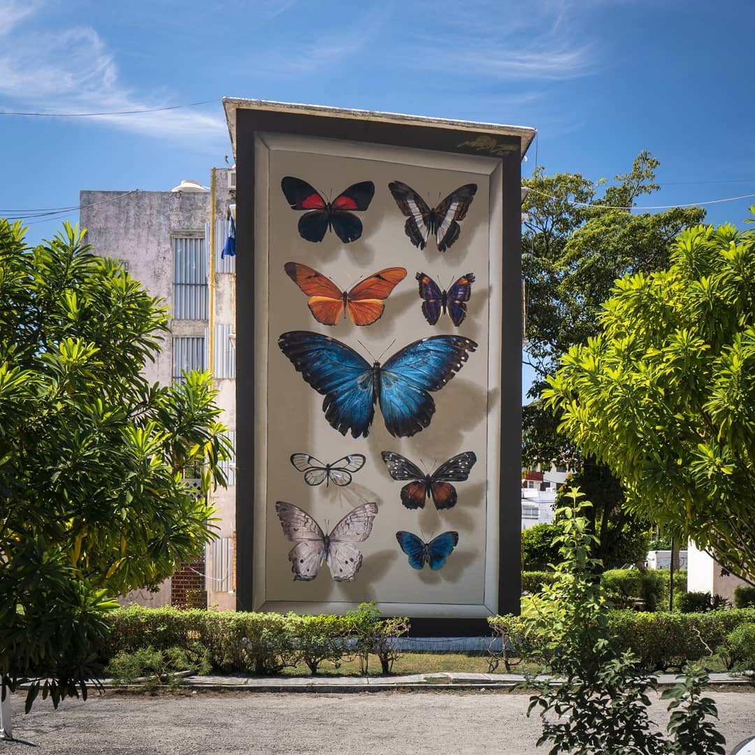 colección de mariposas lateral de edificio