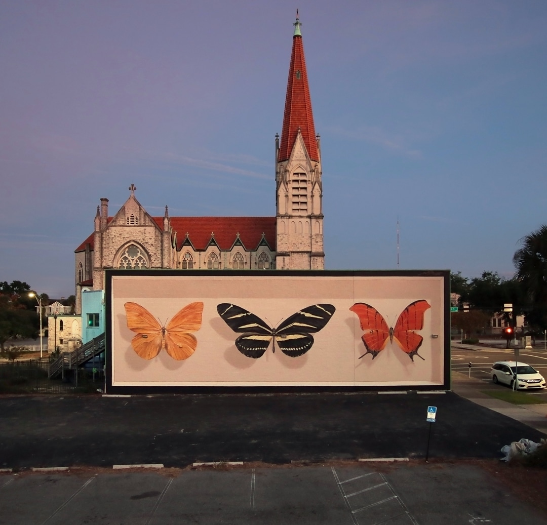 graffiti de mariposas por Youri Cansell