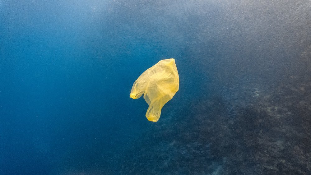 bolsa plastico en el mar