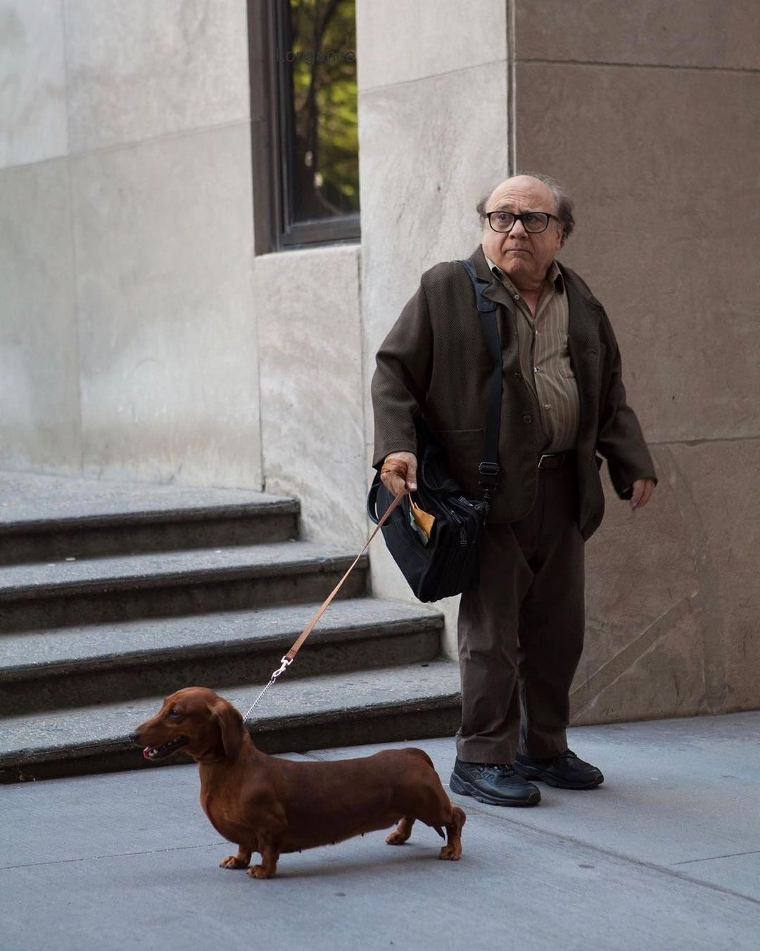 danny devito