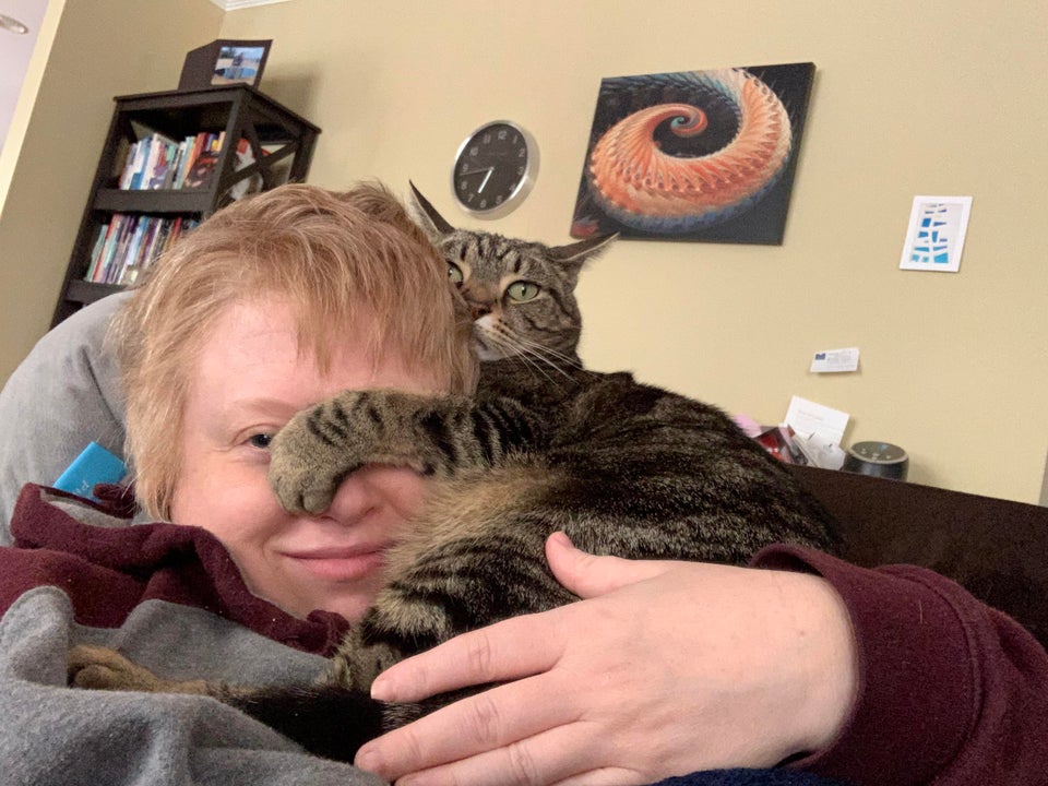 gato con pata en cara