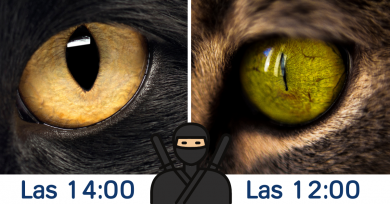 hora-mirar-ojos-gato