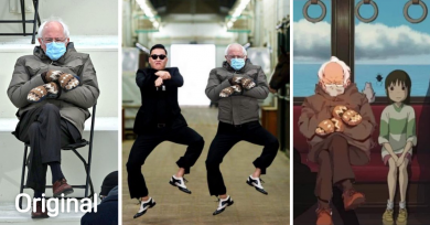 memes-bernie-sanders