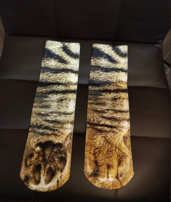 padre compra calcetines de gato (1)