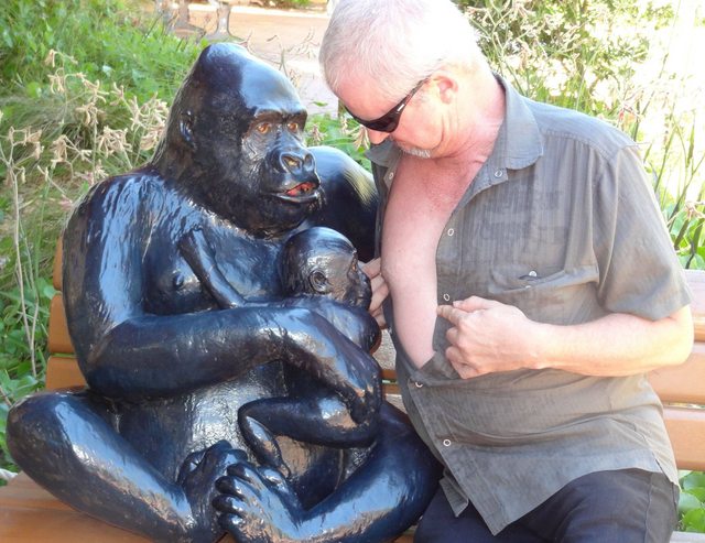 hombre con pecho fuera frente a estatua de gorila