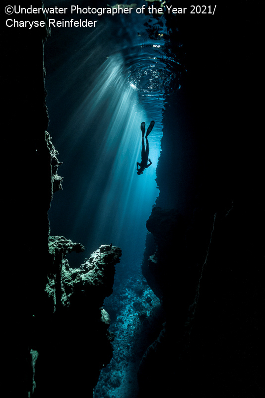 mejor fotografia subacuatica 21