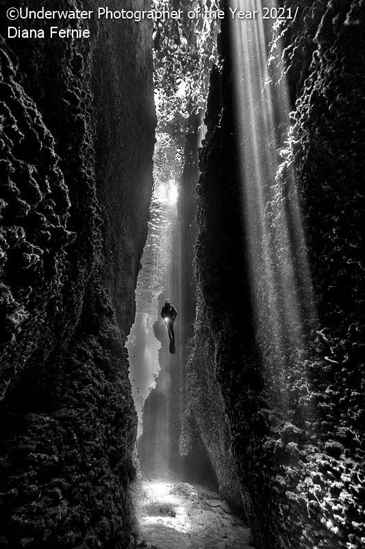 mejor fotografia subacuatica 9