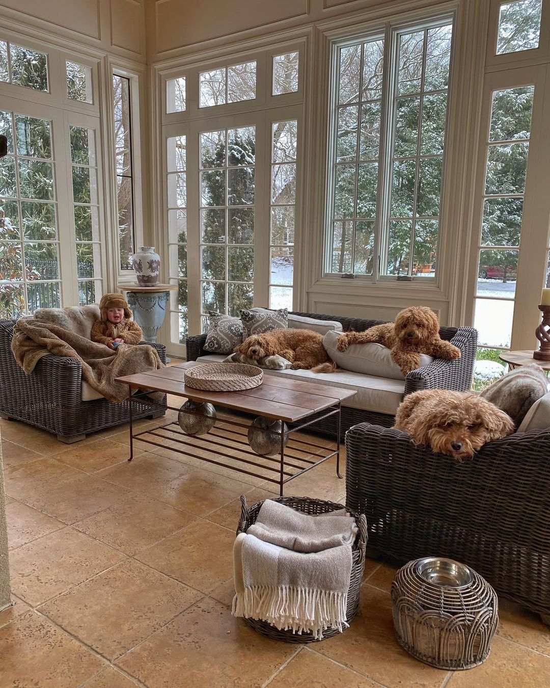perros que duermen en los sofás