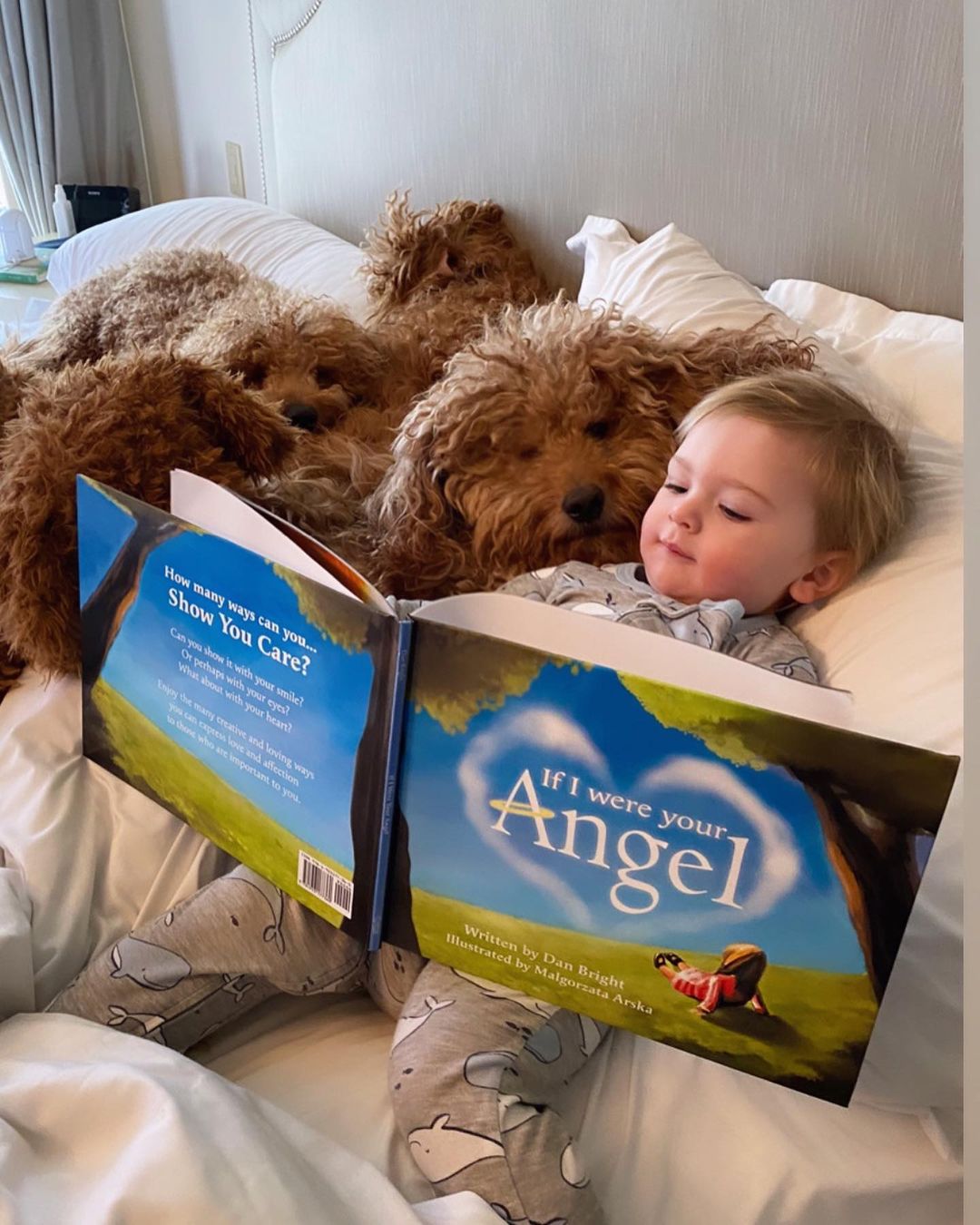 bebé leyéndole un cuento a sus perros