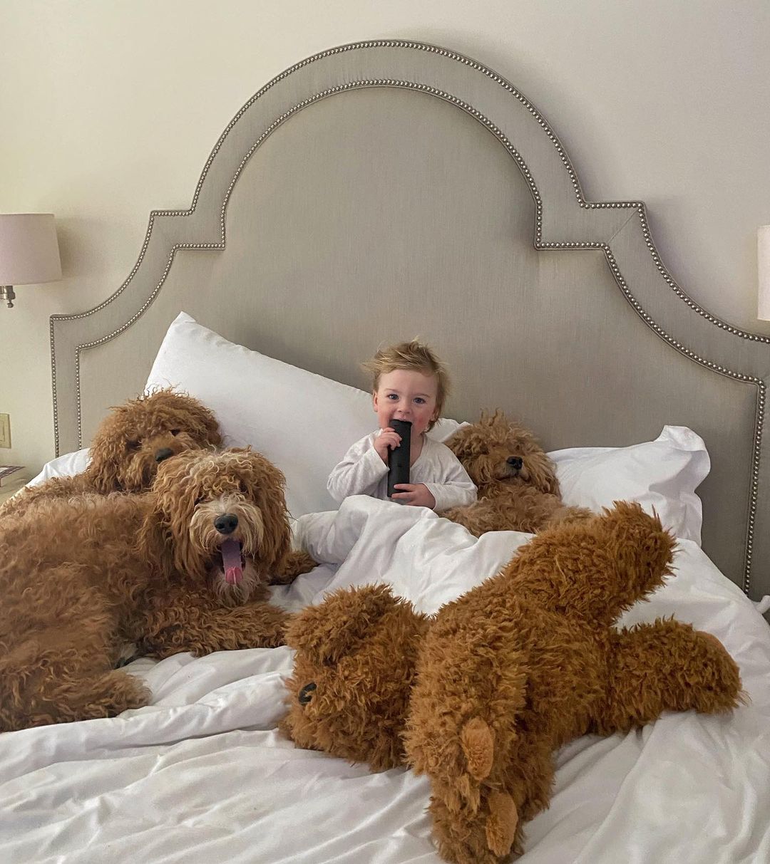 niño jugando en la cama con sus perros