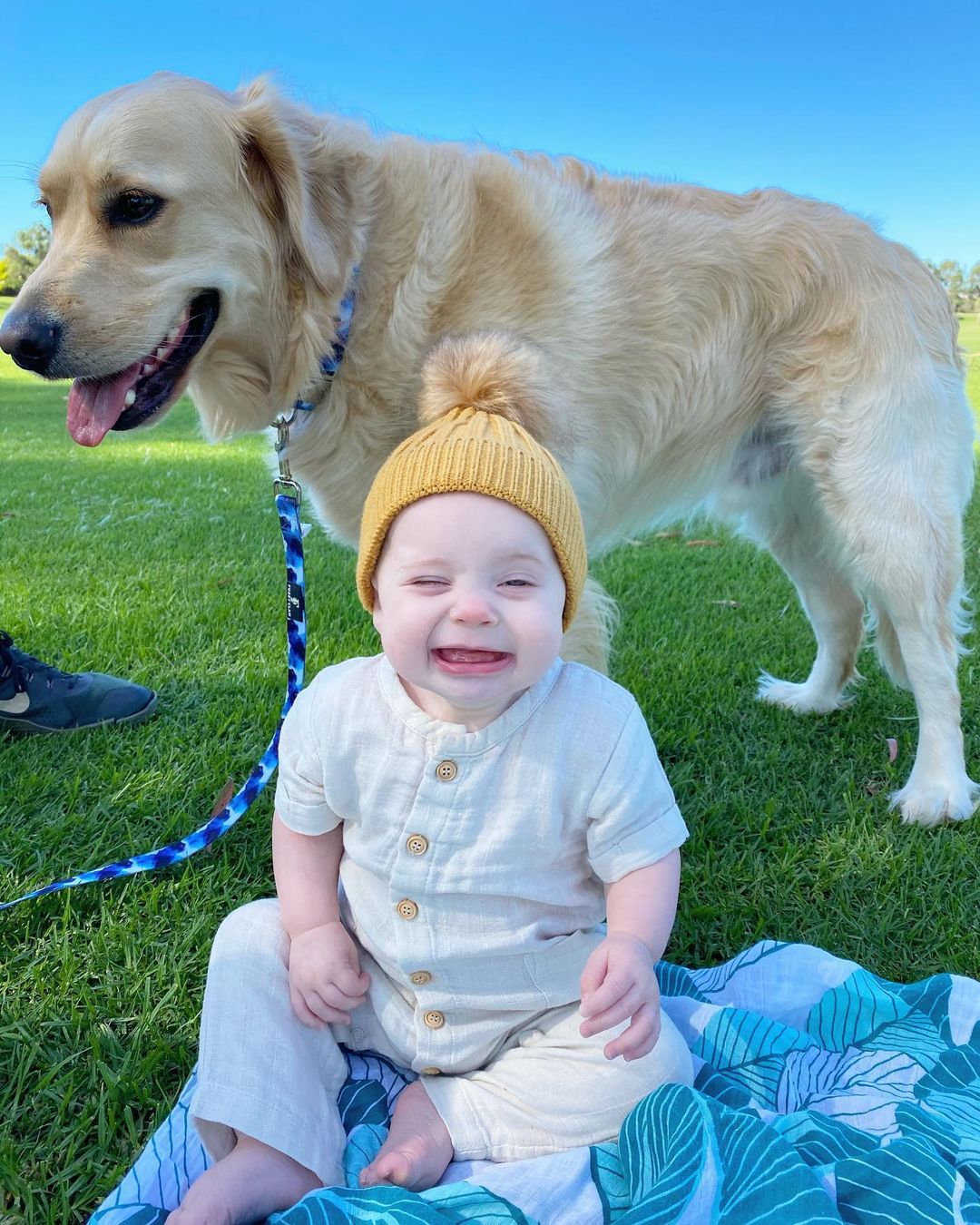 bebé y perro felices