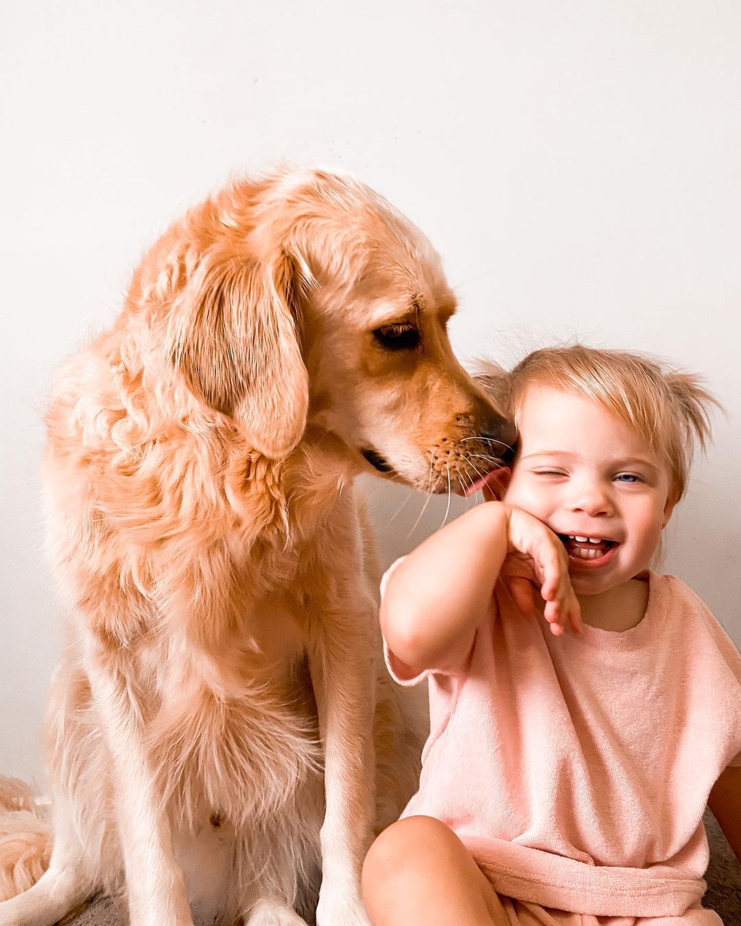 fotos divertidas de bebés y perros